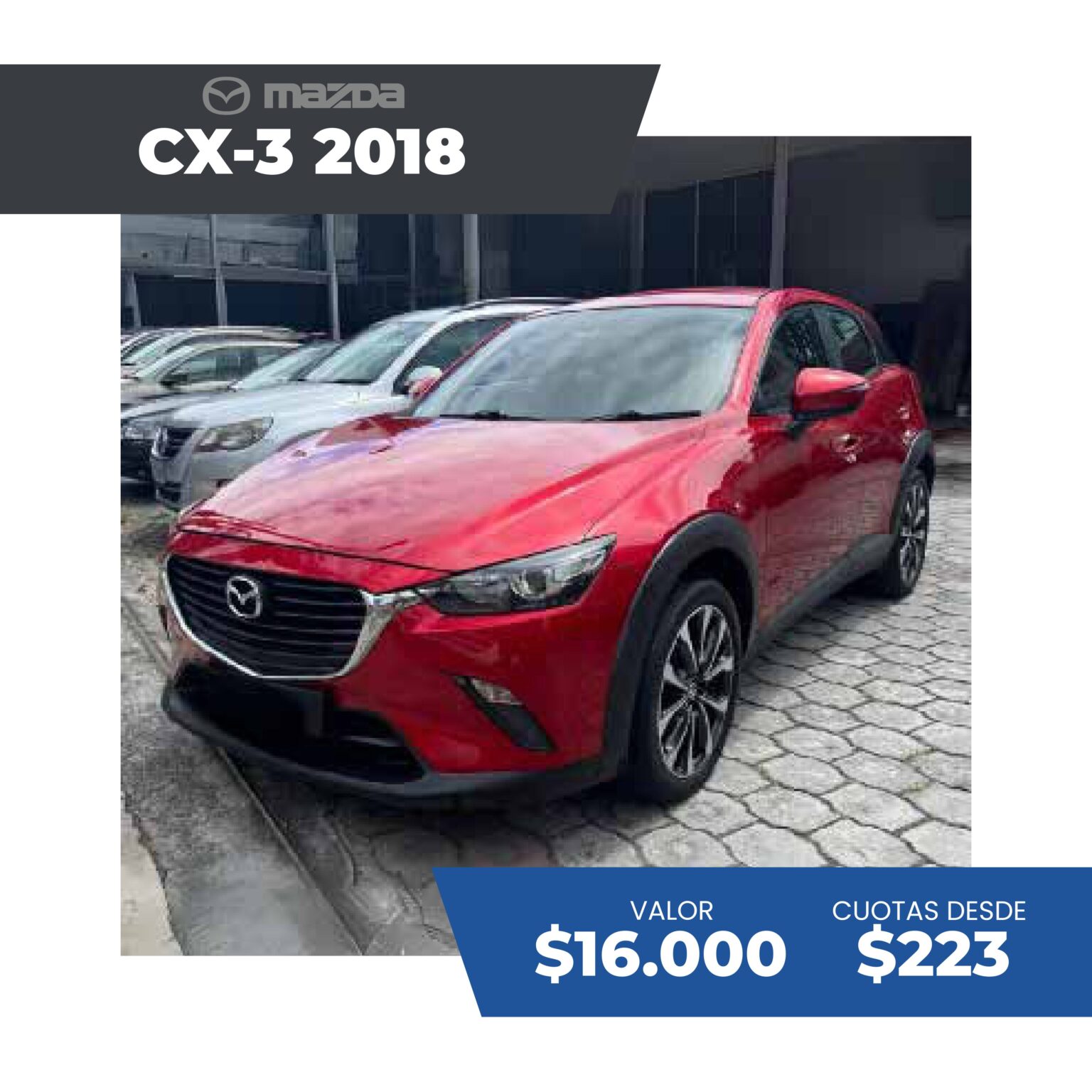 c+ítalogo ir sep 2025 p+íginas im+ígenes 113