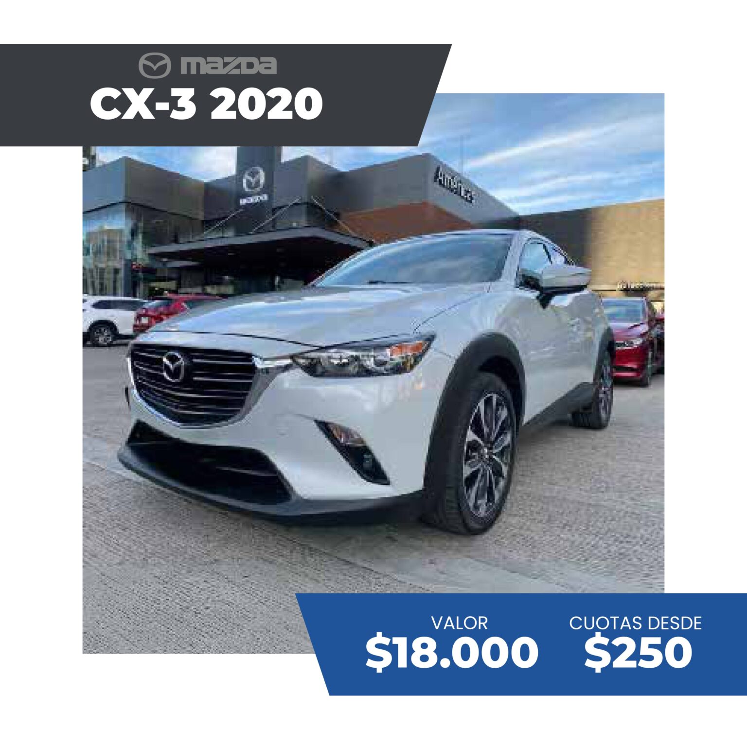 c+ítalogo ir sep 2025 p+íginas im+ígenes 114