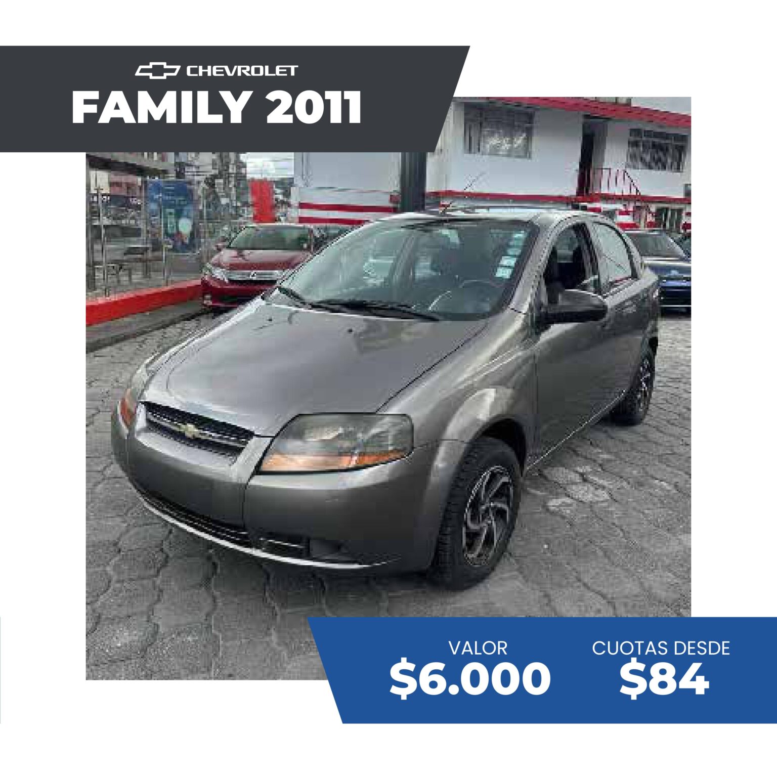 c+ítalogo ir sep 2025 p+íginas im+ígenes 17