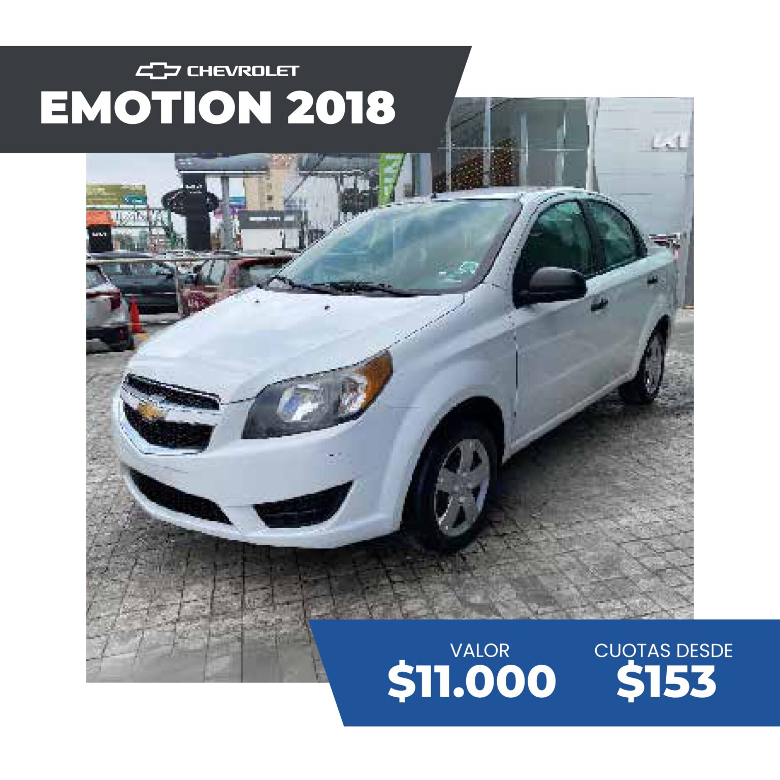 c+ítalogo ir sep 2025 p+íginas im+ígenes 24