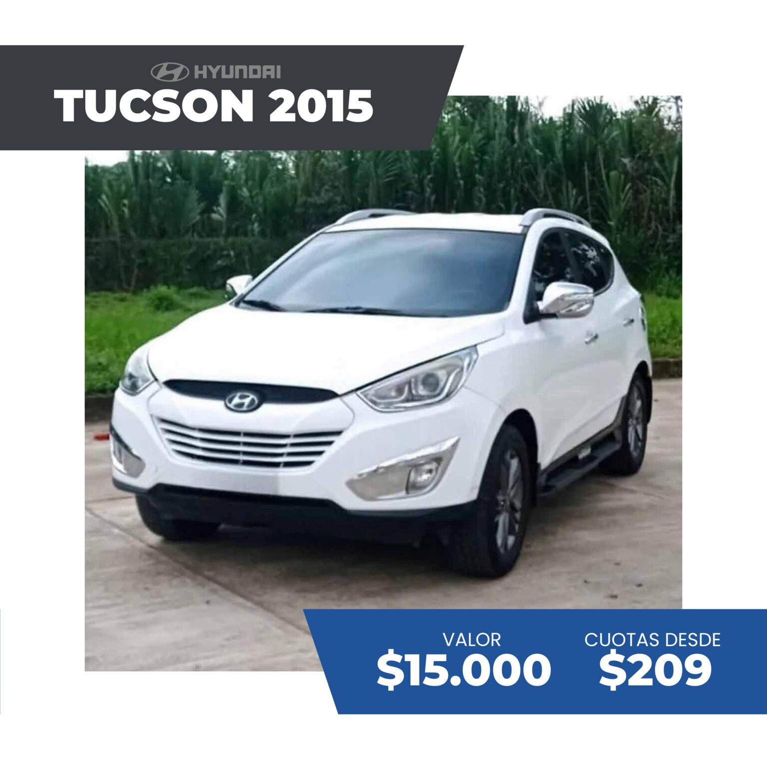 c+ítalogo ir sep 2025 p+íginas im+ígenes 96